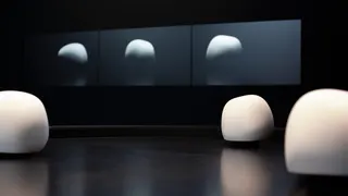Les Appprenants